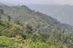 Attamala Glass Bridge & View Point Wayanad