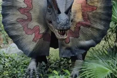 Dilophosaurus from Chhatbir Zoo of Mohali
