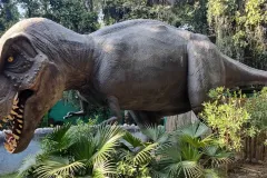Tyrannosaurus Rex from Chhatbir Zoo, Mohali