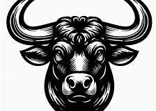 Taurus - 8